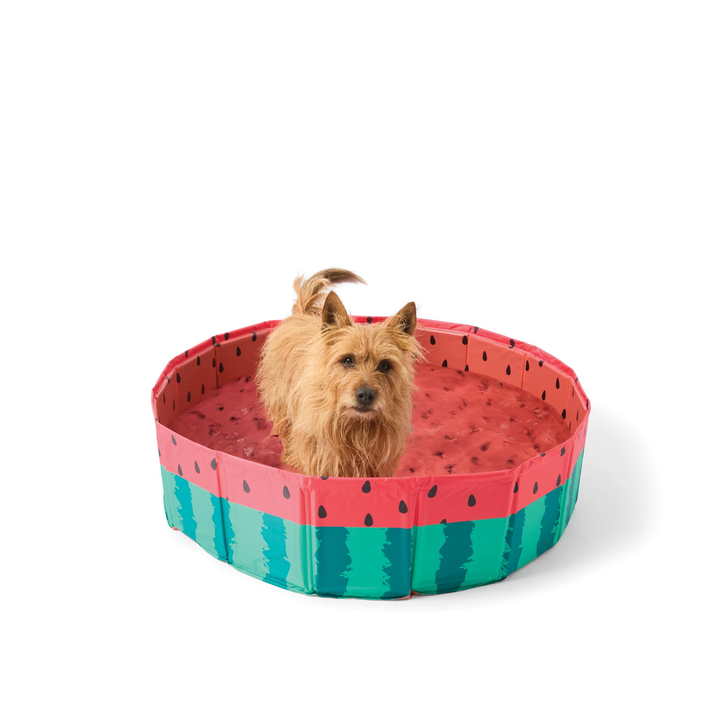 1 Pet Bath Portable, 1 of 9