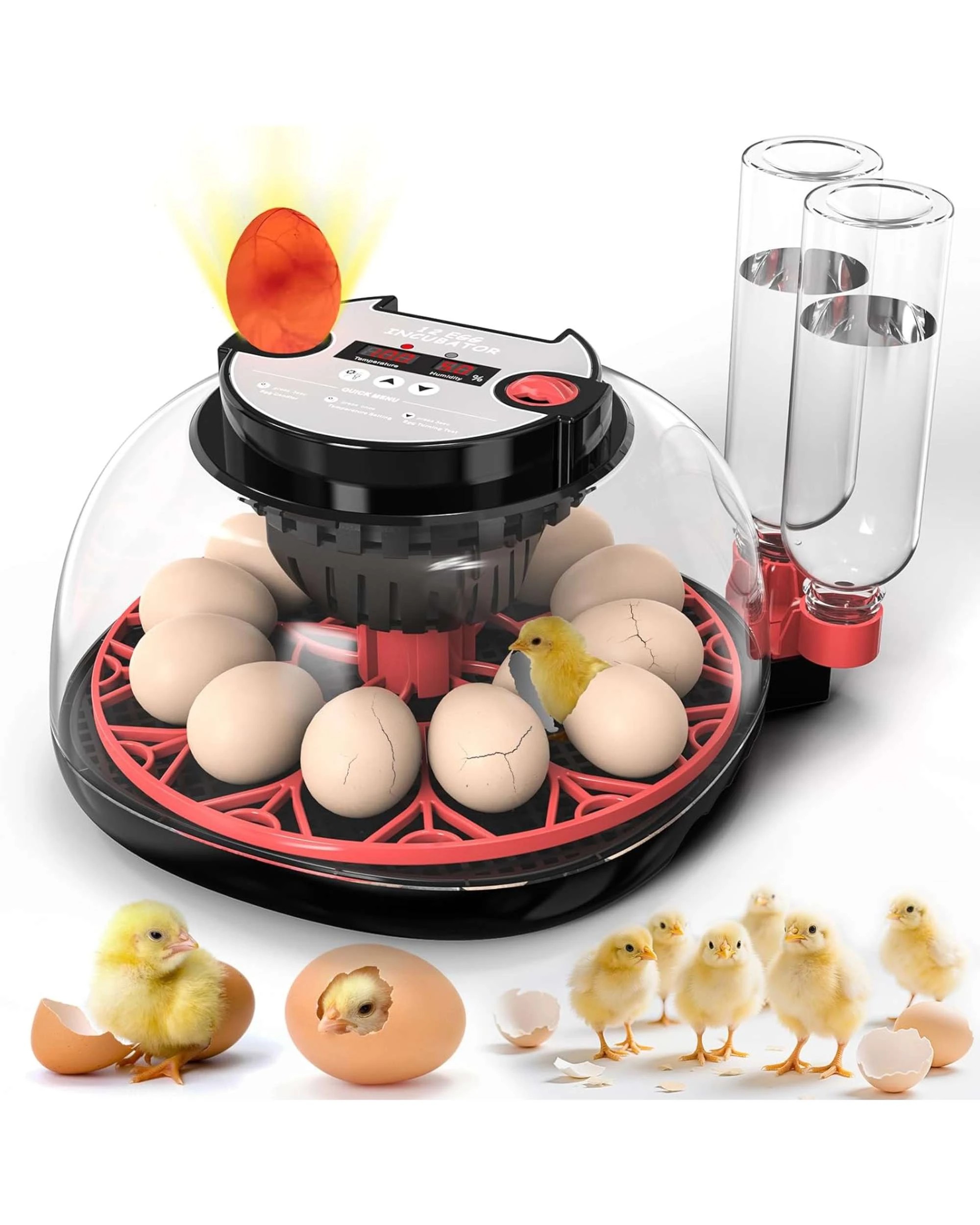 1 Advwin Automatic 12 Eggs Incubator with Egg Candler, 1 of 4