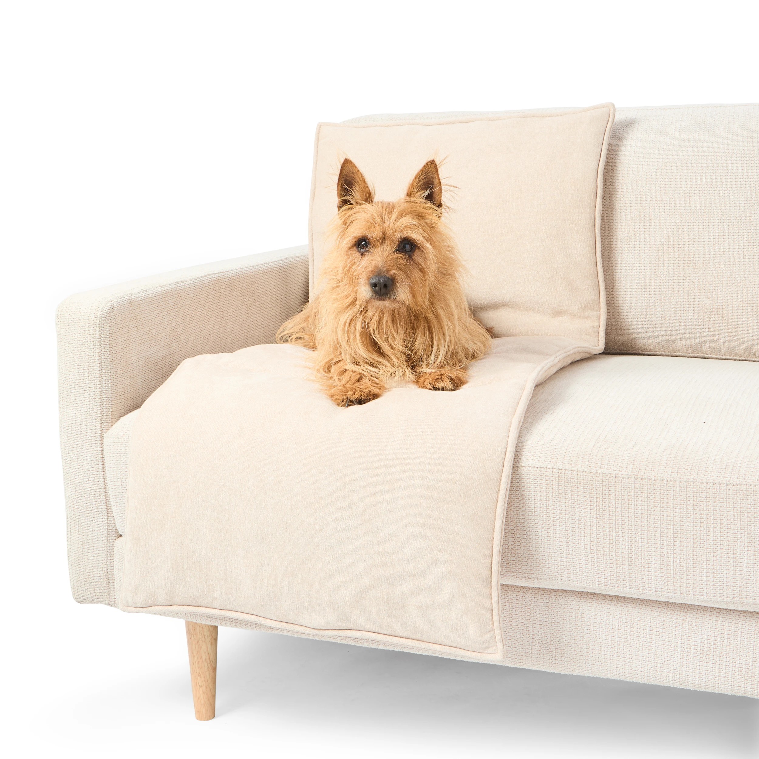 1 Couch Protector - Assorted, 1 of 10