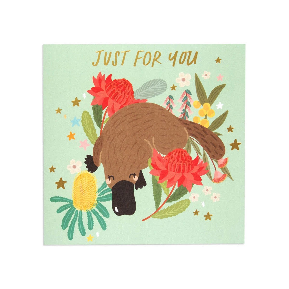 3 Hallmark Birthday Card - Australian Spirit Bush Buddies Platypus, 3 of 3