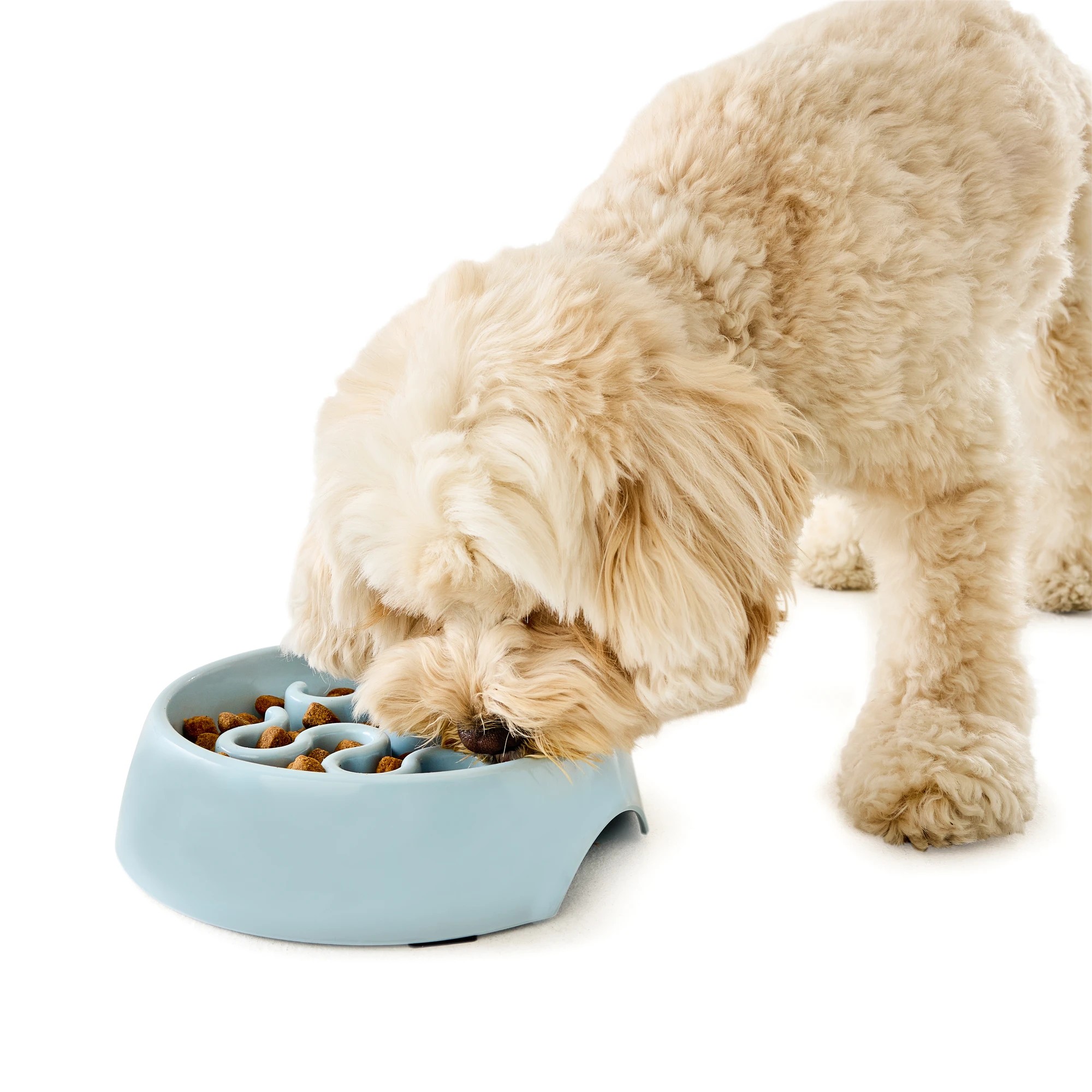 1 Pet Slow Feeding Bowl - Medium, 1 of 8