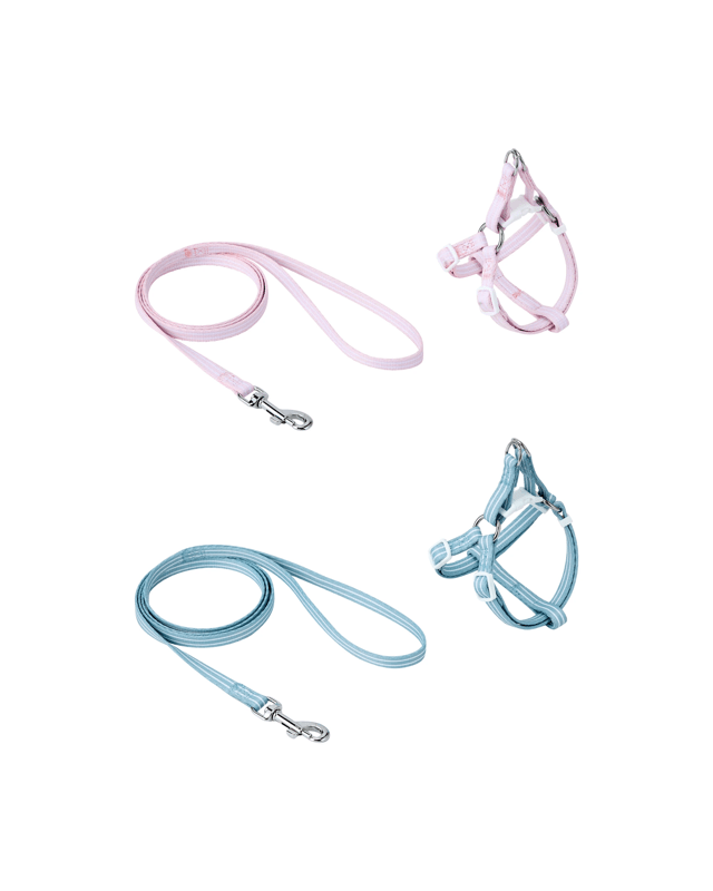 Puppy Harness & Lead - Asso