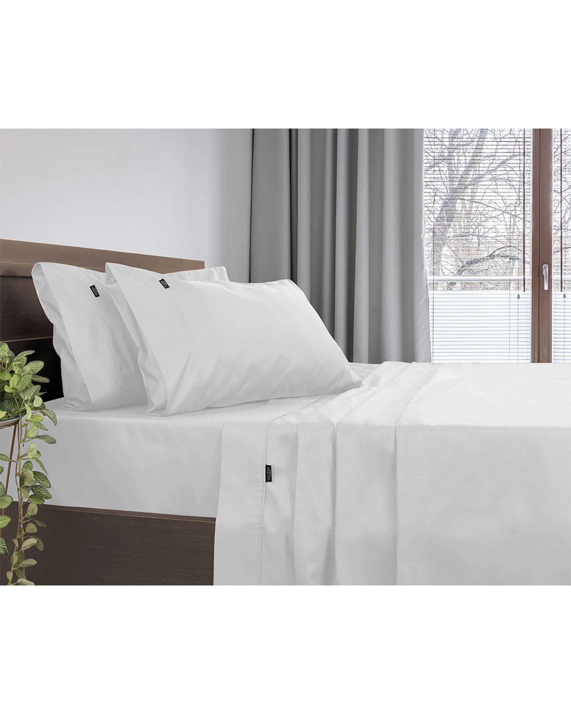 1 Ardor 3pc Cotton Polyester Bed Sheet Set With Fitted Sheet Pillowcase - Single Bed - White, 1 of 3
