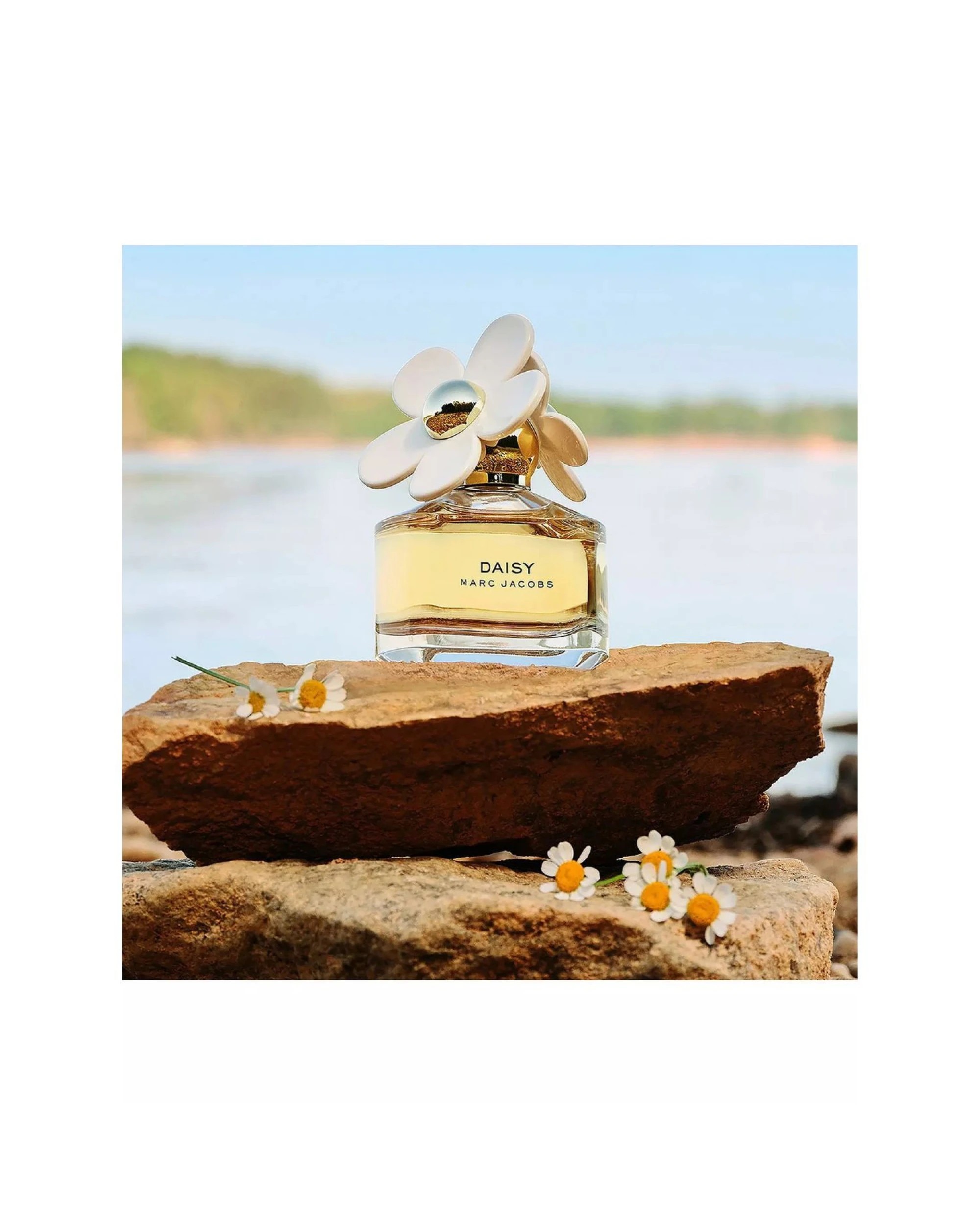 3 Marc Jacobs Daisy 100ml Eau de Toilette, 3 of 3