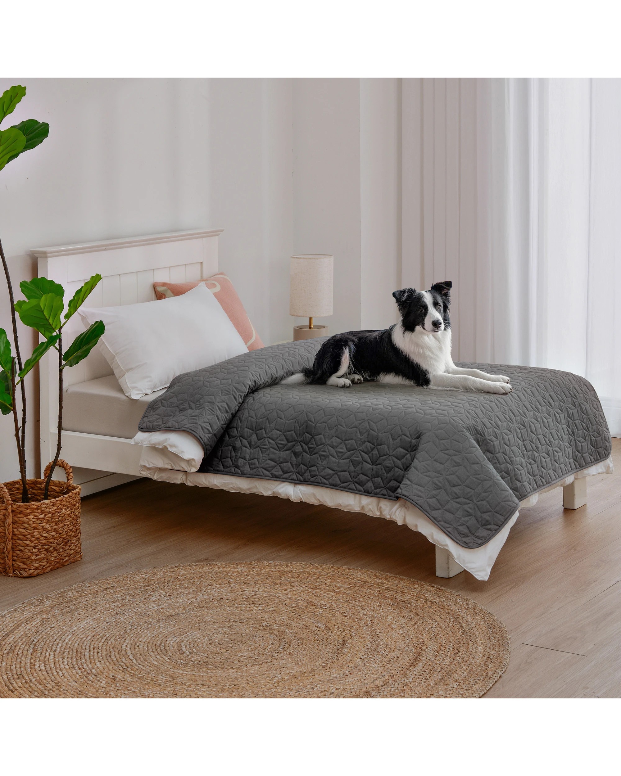 1 Charlie's Sofur Waterproof Dog Bed Cover Protector Single/King Single 132x208cm - King Single Bed - Charcoal, 1 of 10