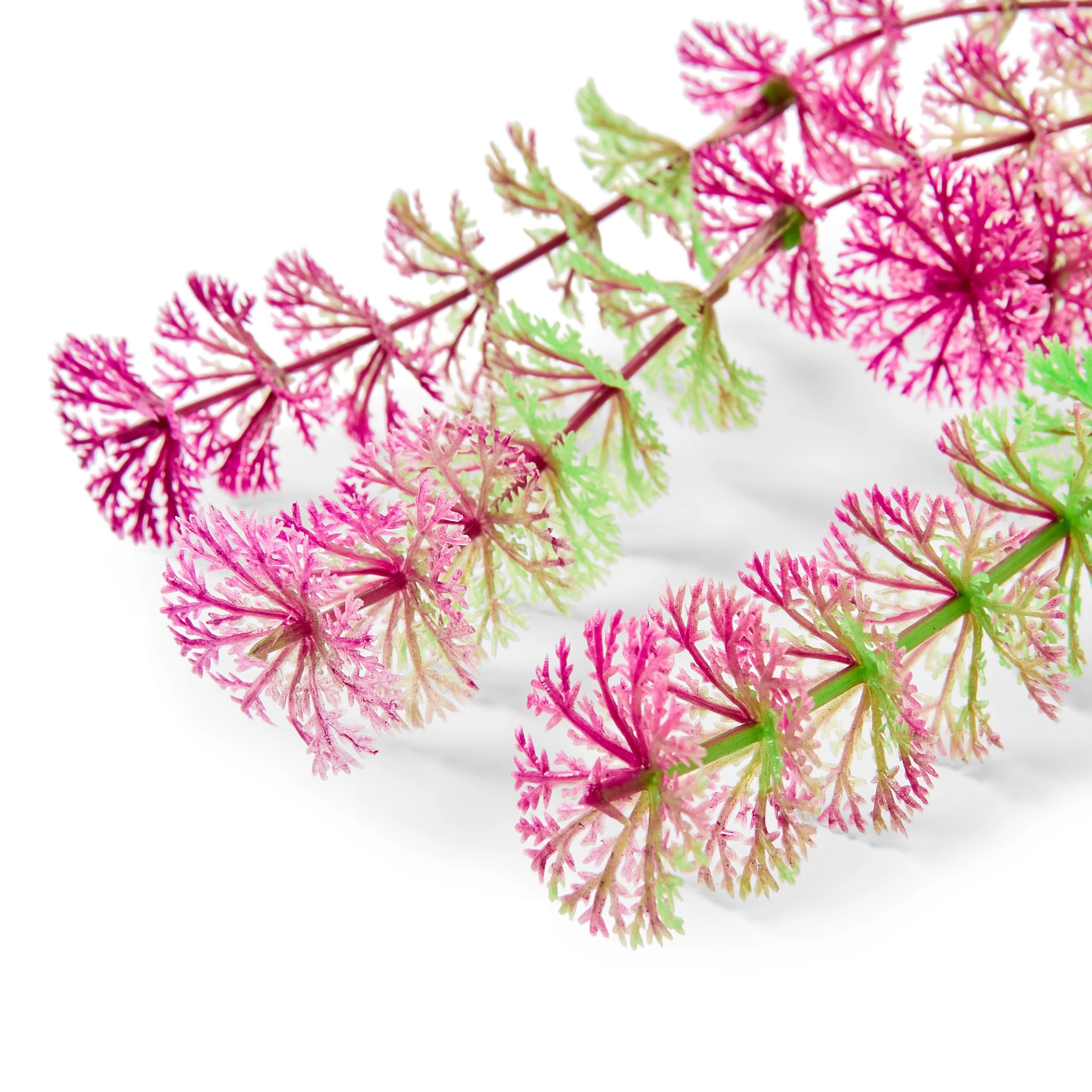 2 Aquarium Natural Plants 6 Pack - Small, 2 of 10