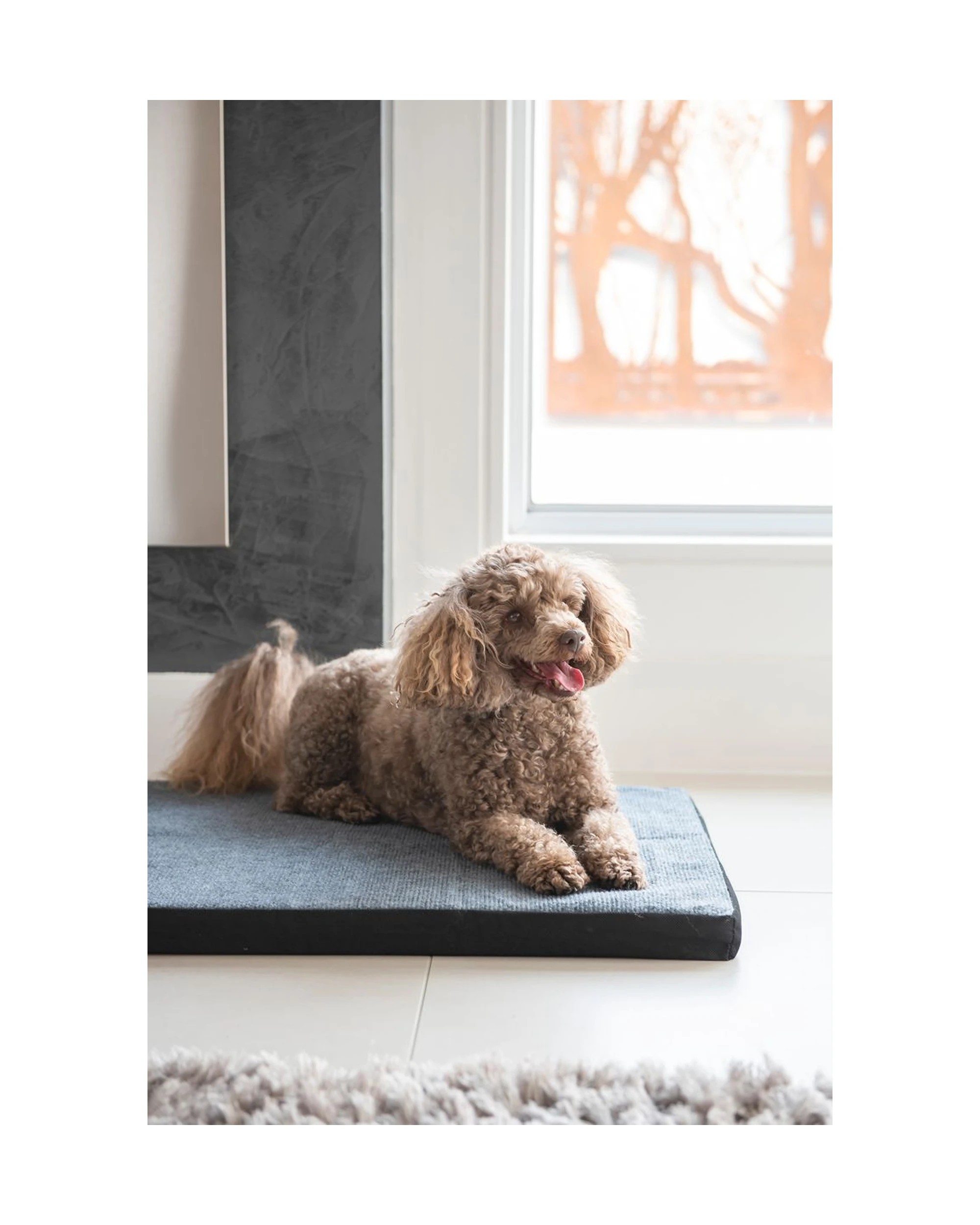 2 Superior Pet Essentials Carpet Dog Mat Medium Australian Dunlop Foam Portable - Grey, 2 of 3