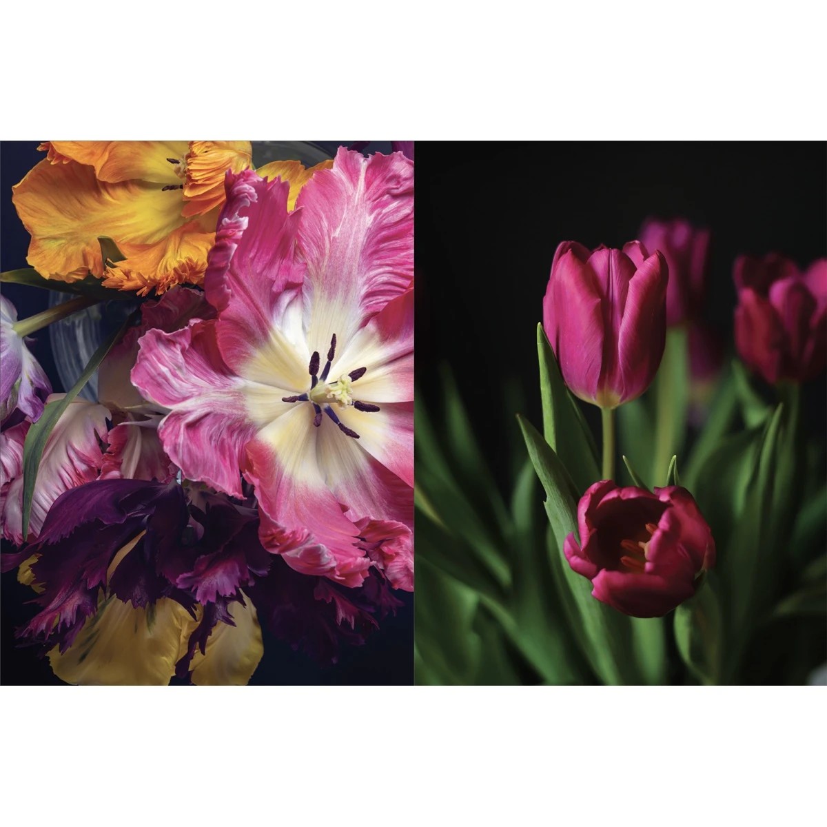 5 Flower - Book, 5 of 6