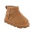 Chestnut