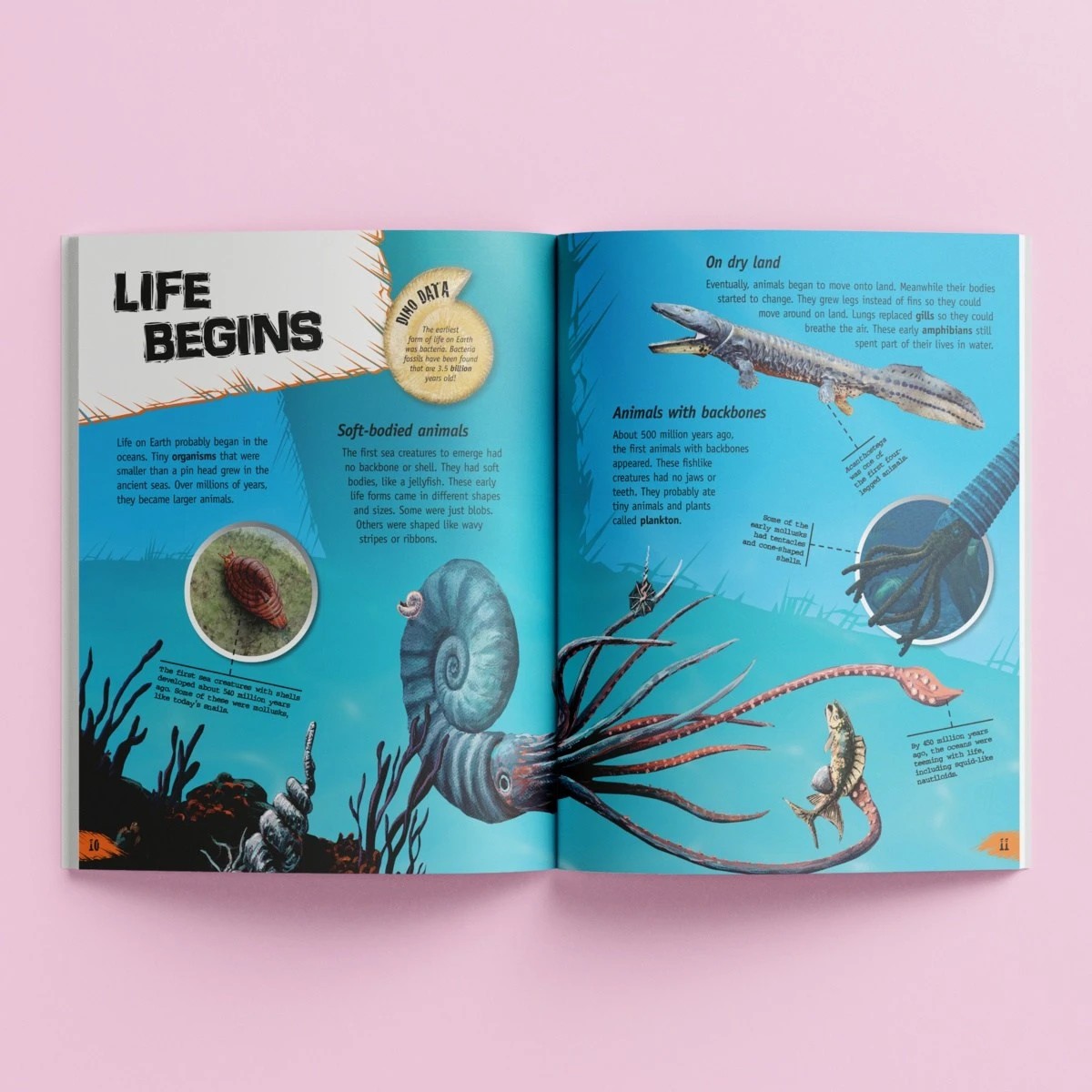 2 Incredible But True: Dinosaurs - Book, 2 of 4