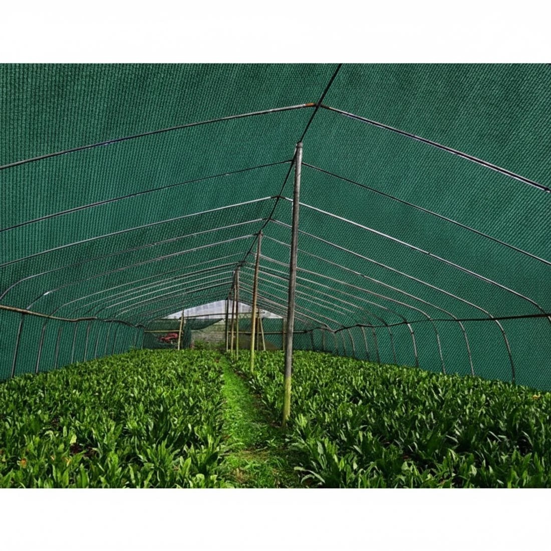4 Instahut 70% Shade Cloth 1.83x20m Shadecloth Sail Heavy Duty - Green, 4 of 5