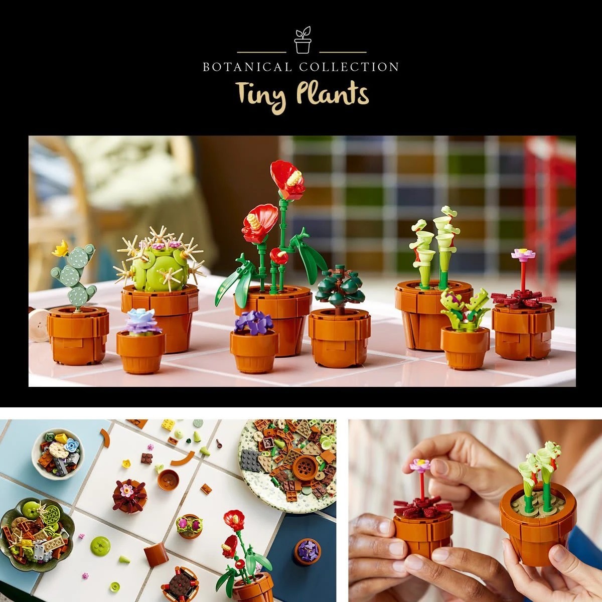 10 LEGO Icons Tiny Plants 10329, 10 of 11