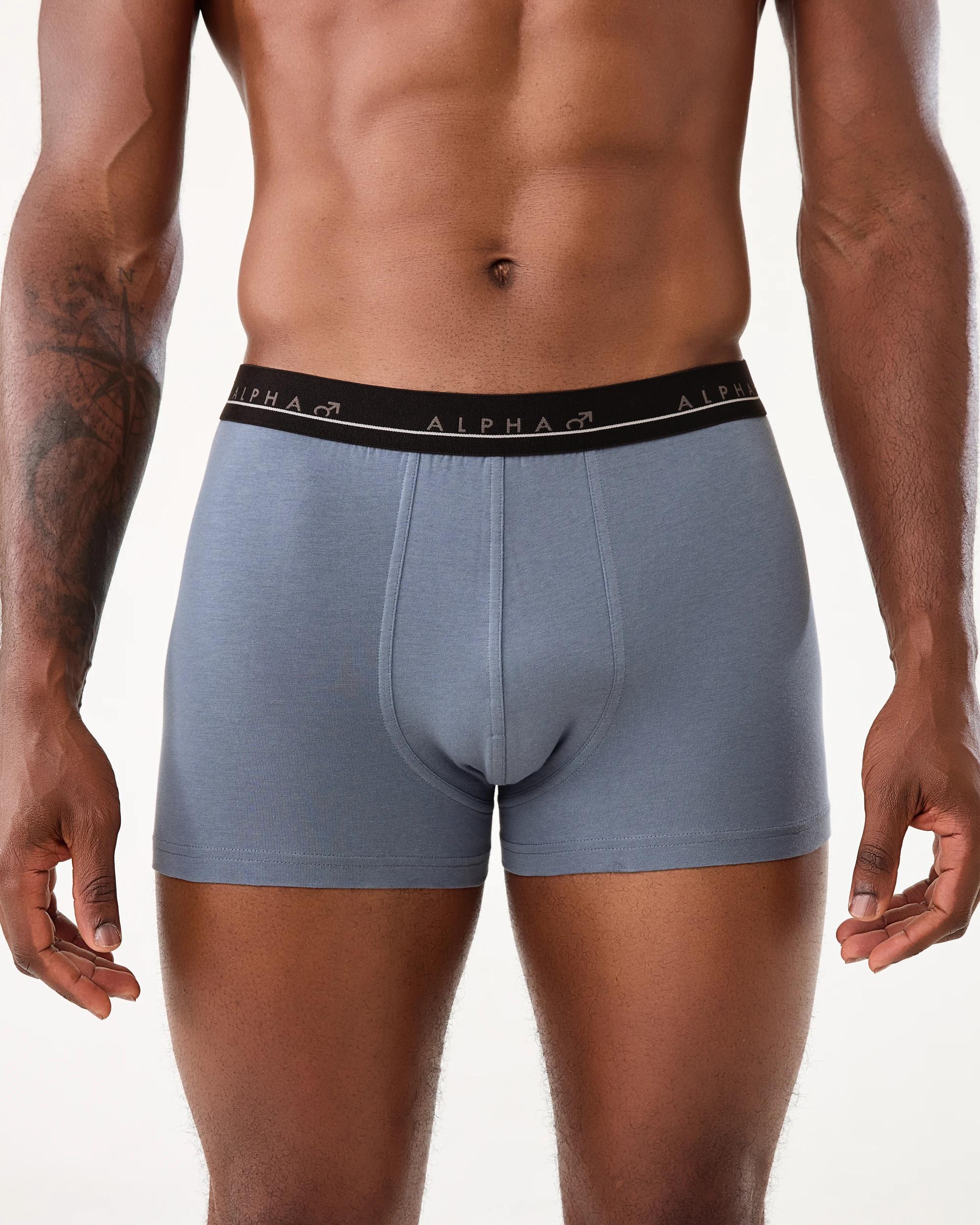 3 5 Pack Trunks Gry Palm, 3 of 10