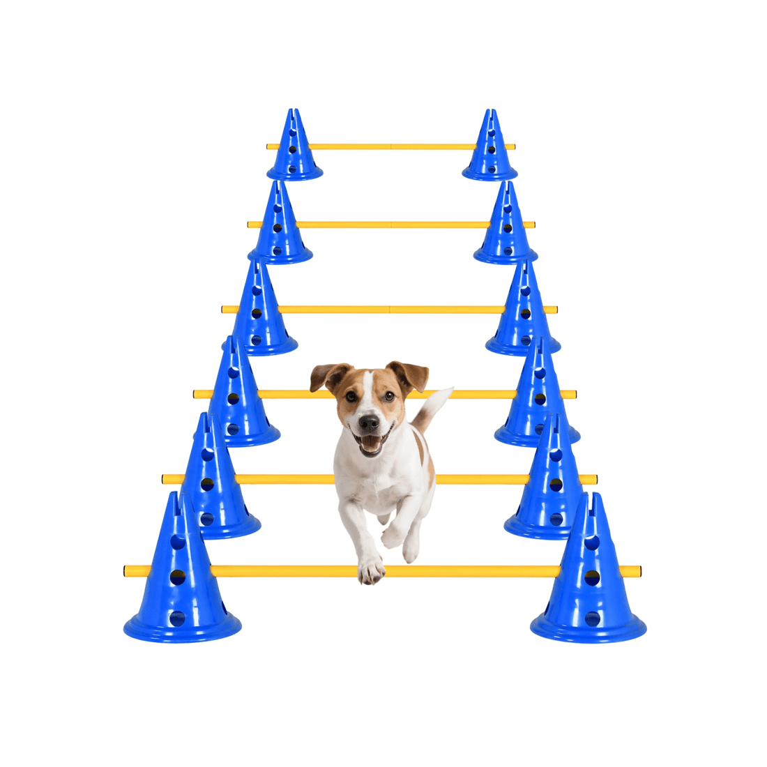 1 Advwin 6 Set Dog Agility Hurdle Cone Set, 1 of 7