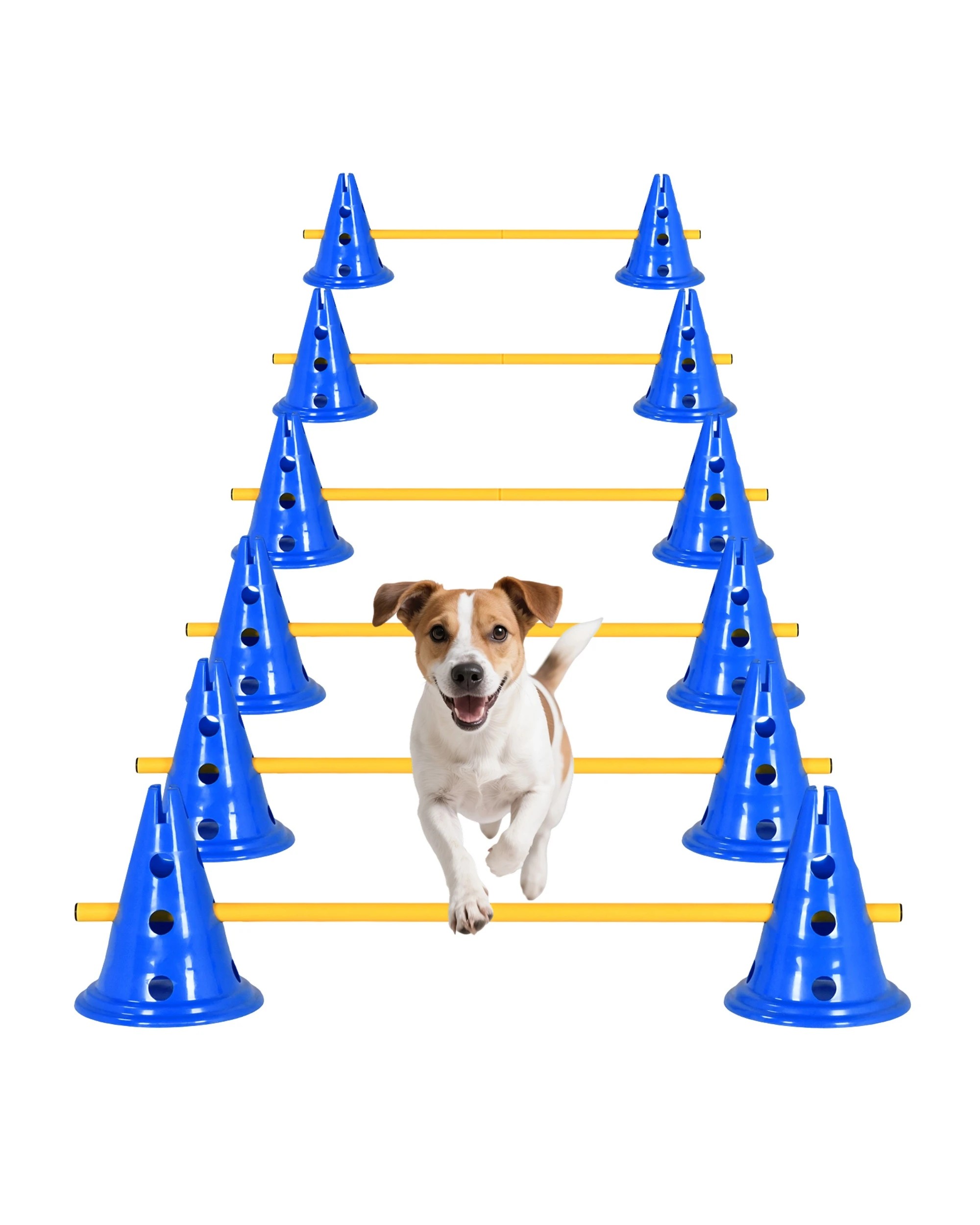 1 Advwin 6 Set Dog Agility Hurdle Cone Set, 1 of 7