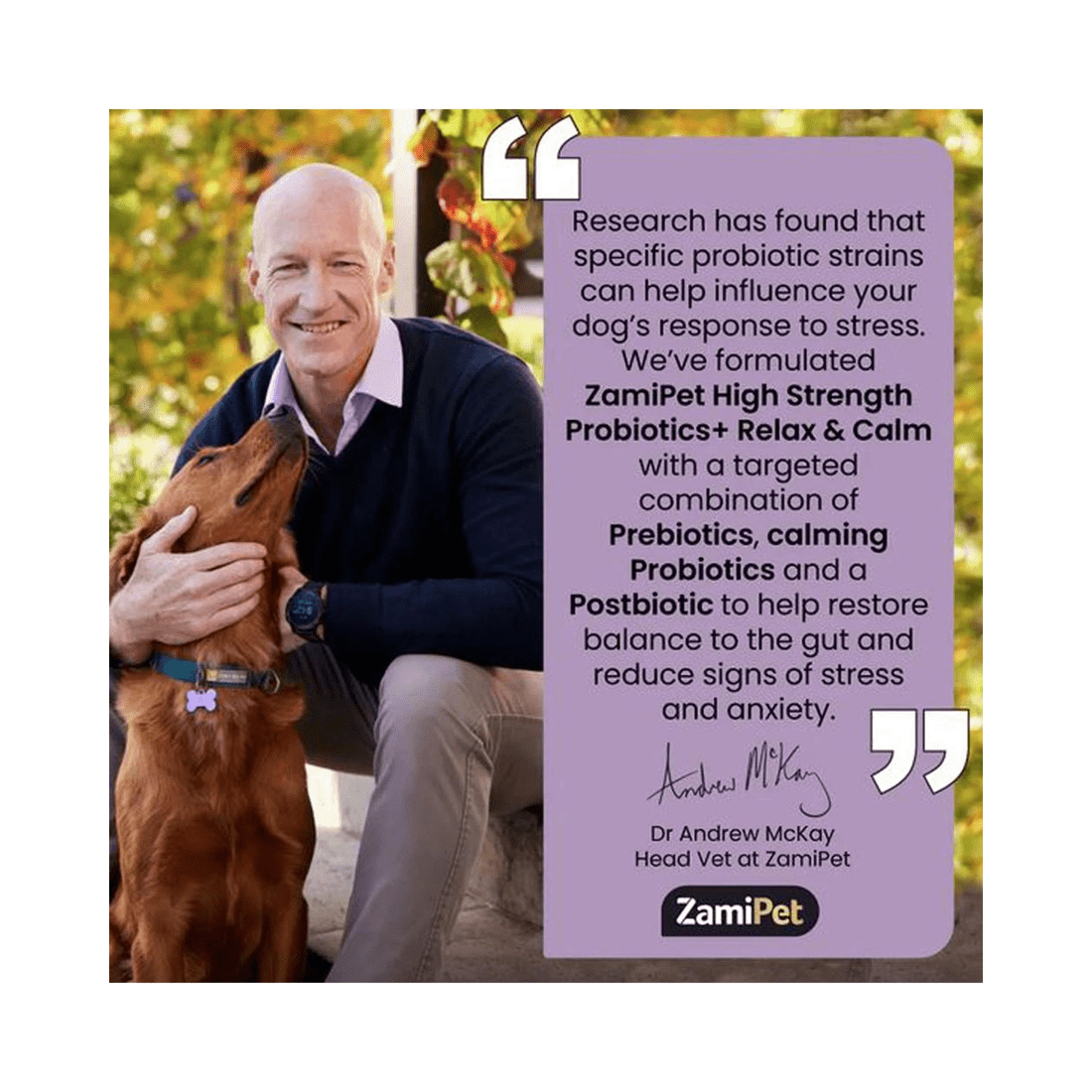 8 Zamipet High Strength Probiotics+ Relax & Calm 30 X 1.2g Sachets, 8 of 9