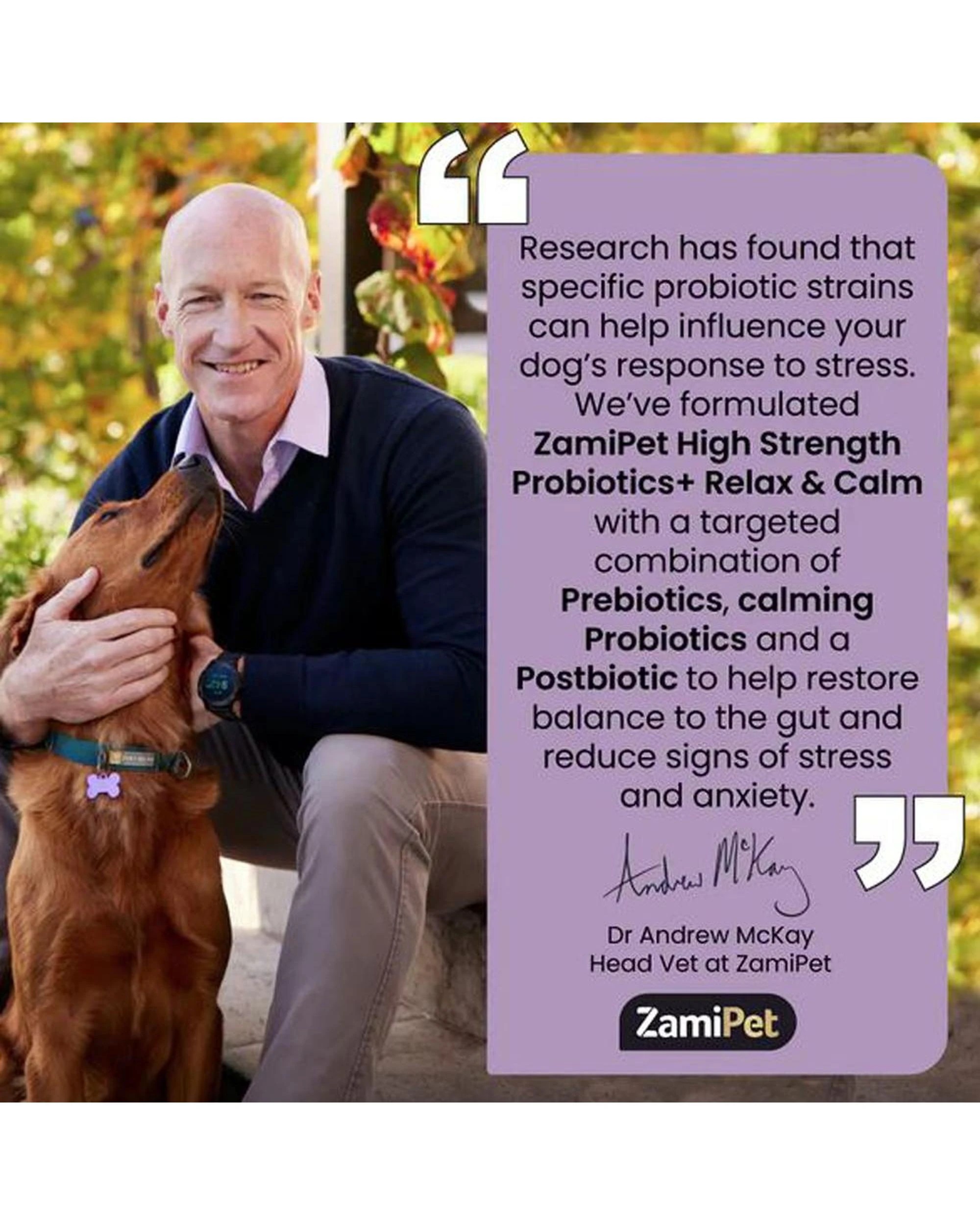 8 Zamipet High Strength Probiotics+ Relax & Calm 30 X 1.2g Sachets, 8 of 9