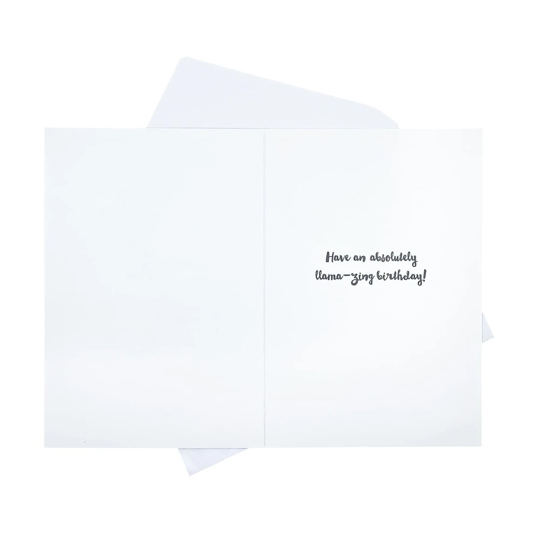 2 Hallmark Birthday Card - Party Animal!, 2 of 3