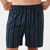 Ny Stripe