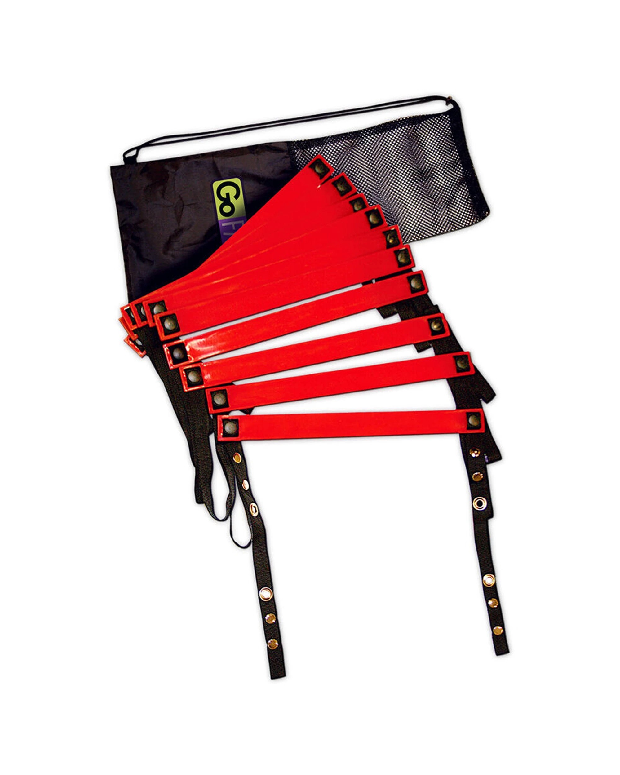 1 GoFit Agility Ladder 15ft Expandable With Carry Bag Indoor Outdoor Use - Multi, 1 of 2