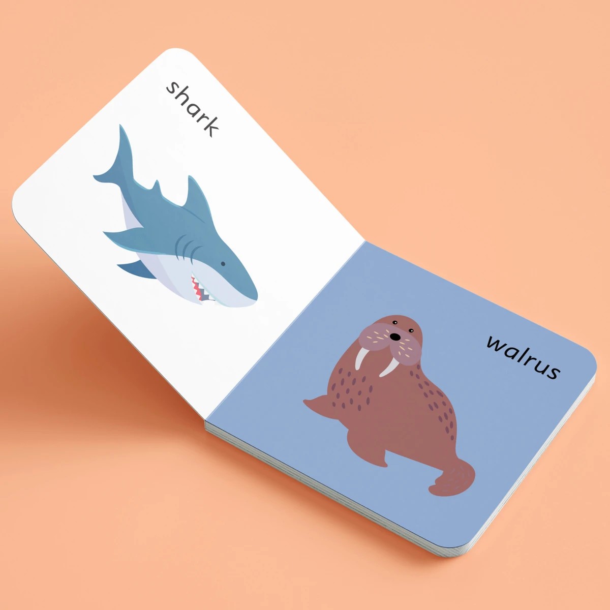 3 Jr. Explorers My First Words Learning Library Box Set - Book, 3 of 7