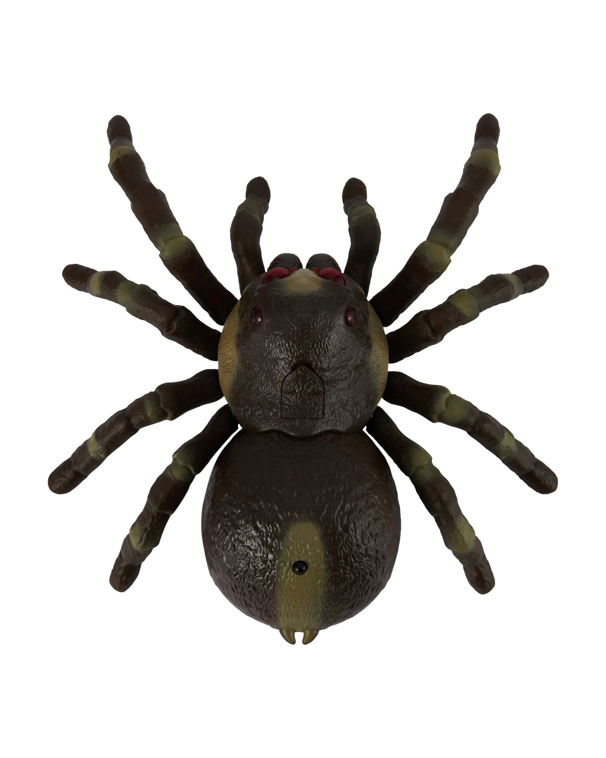 5 Remote Control Spider, 5 of 9