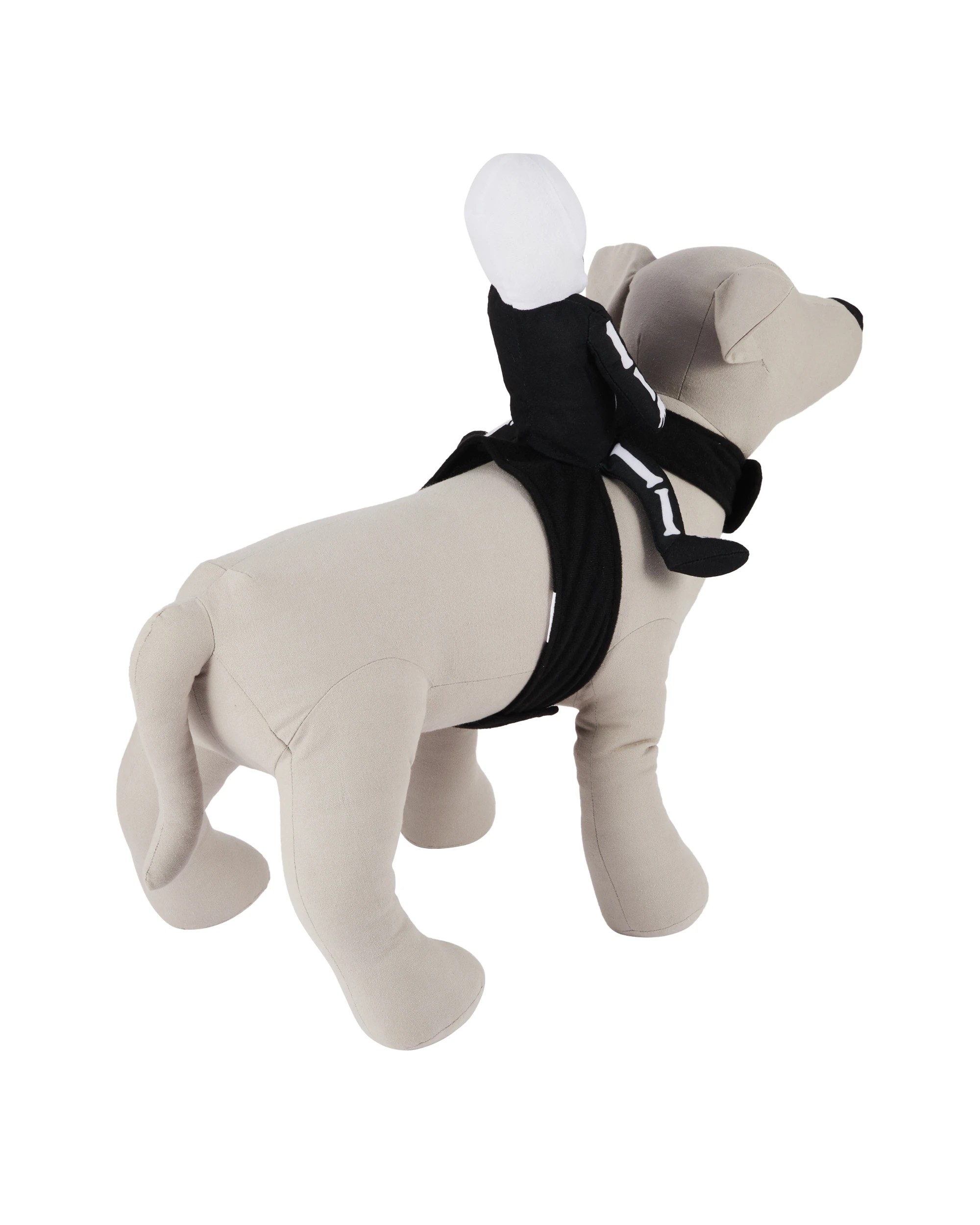 3 Pet Skeleton Ride-on - Medium to Large, 3 of 10