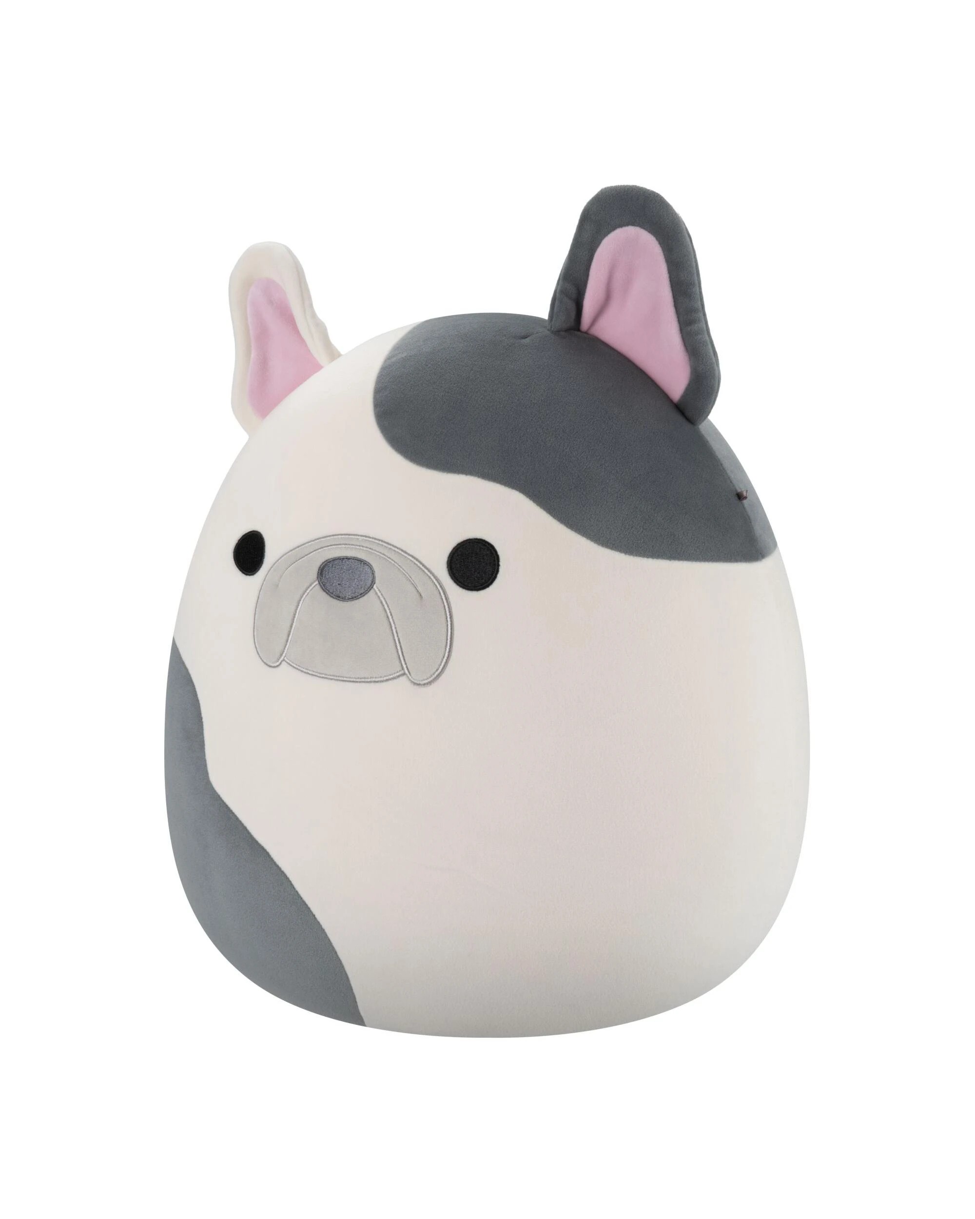 2 Squishmallows Carm the French Bulldog 16 inch Plush, 2 of 4