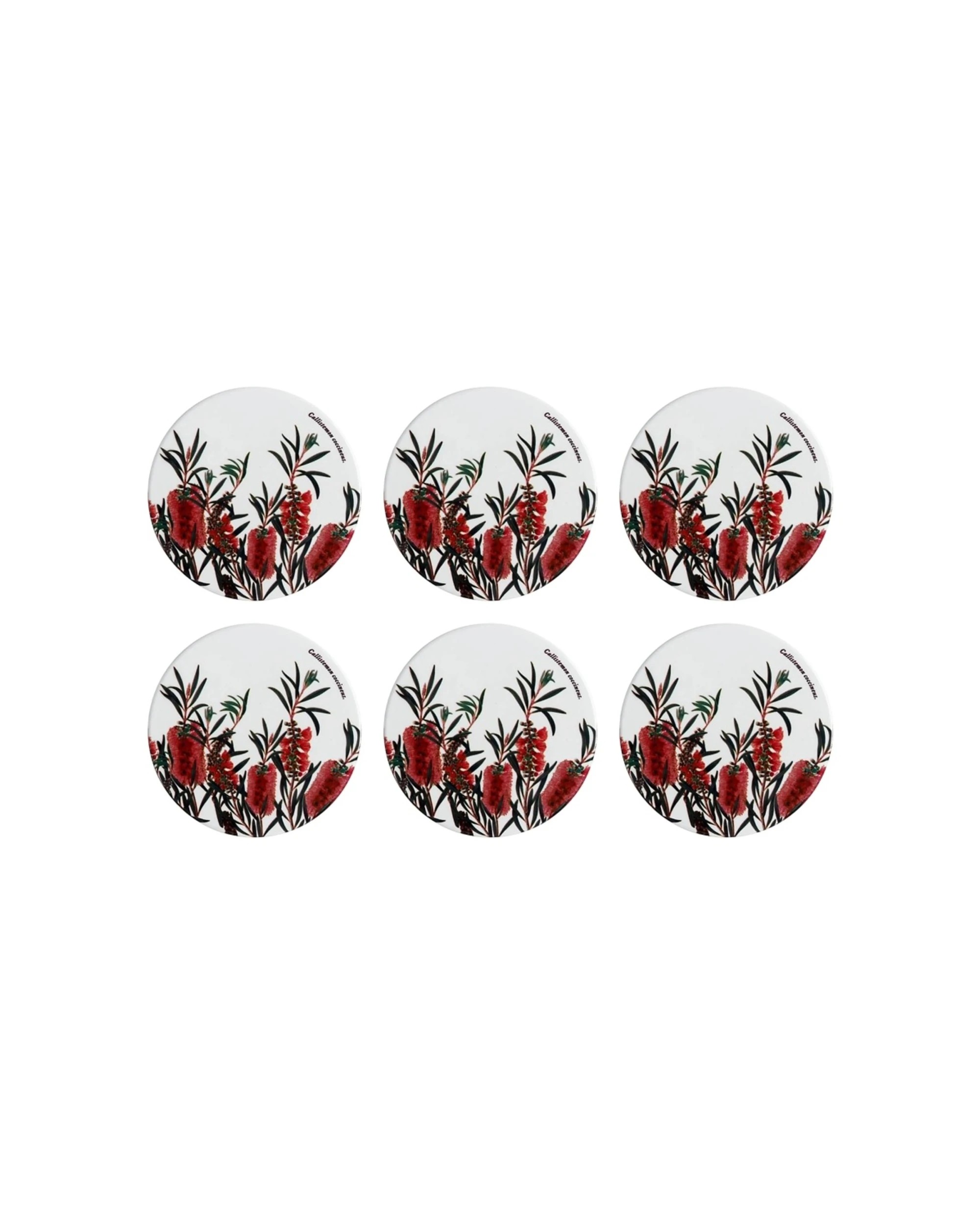 1 Maxwell & Williams 6PK Royal Botanic Garden Ceramic Coaster 9.5cm - Bottle Brush - Multi, 1 of 1