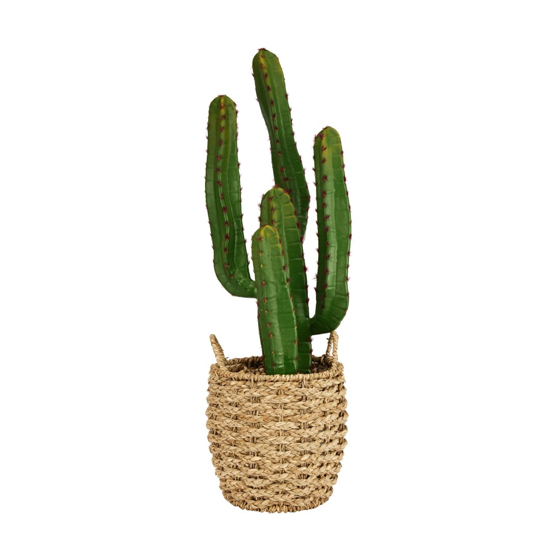 1 Artificial Cactus in Basket, 1 of 6