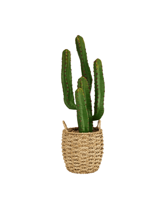 Artificial Cactus in Basket