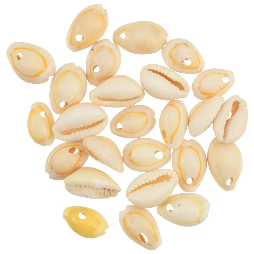 2 Born Cowrie Shells Natural 16mm 15g, 2 of 2