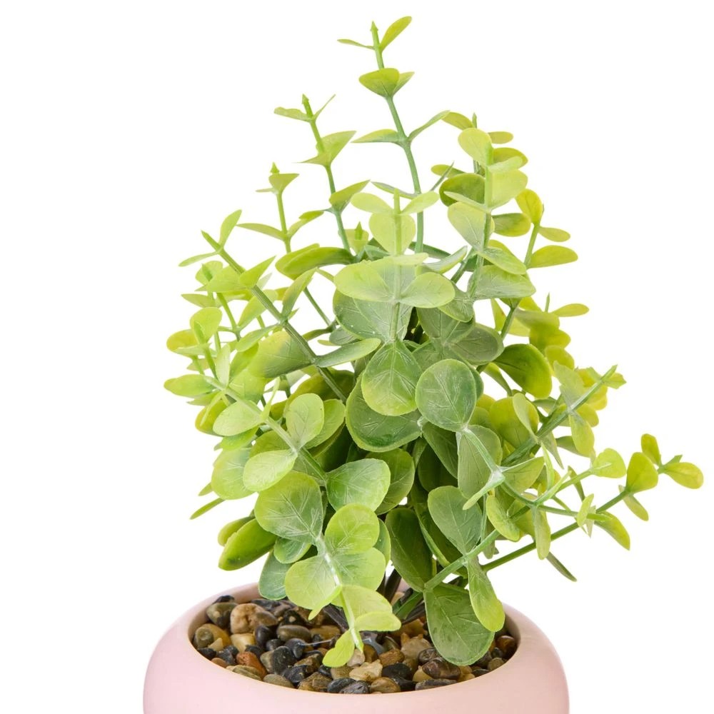 2 Officeworks Raspberry Faux Ceramic Plant, 2 of 3