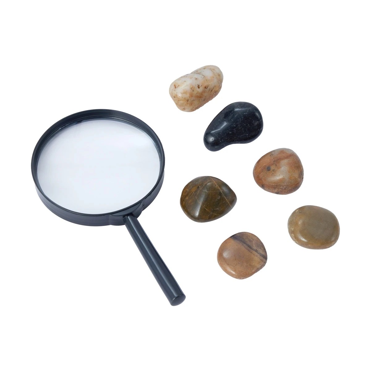 9 Dinosaur Discovery Sensory Bin Set - Assorted, 9 of 10