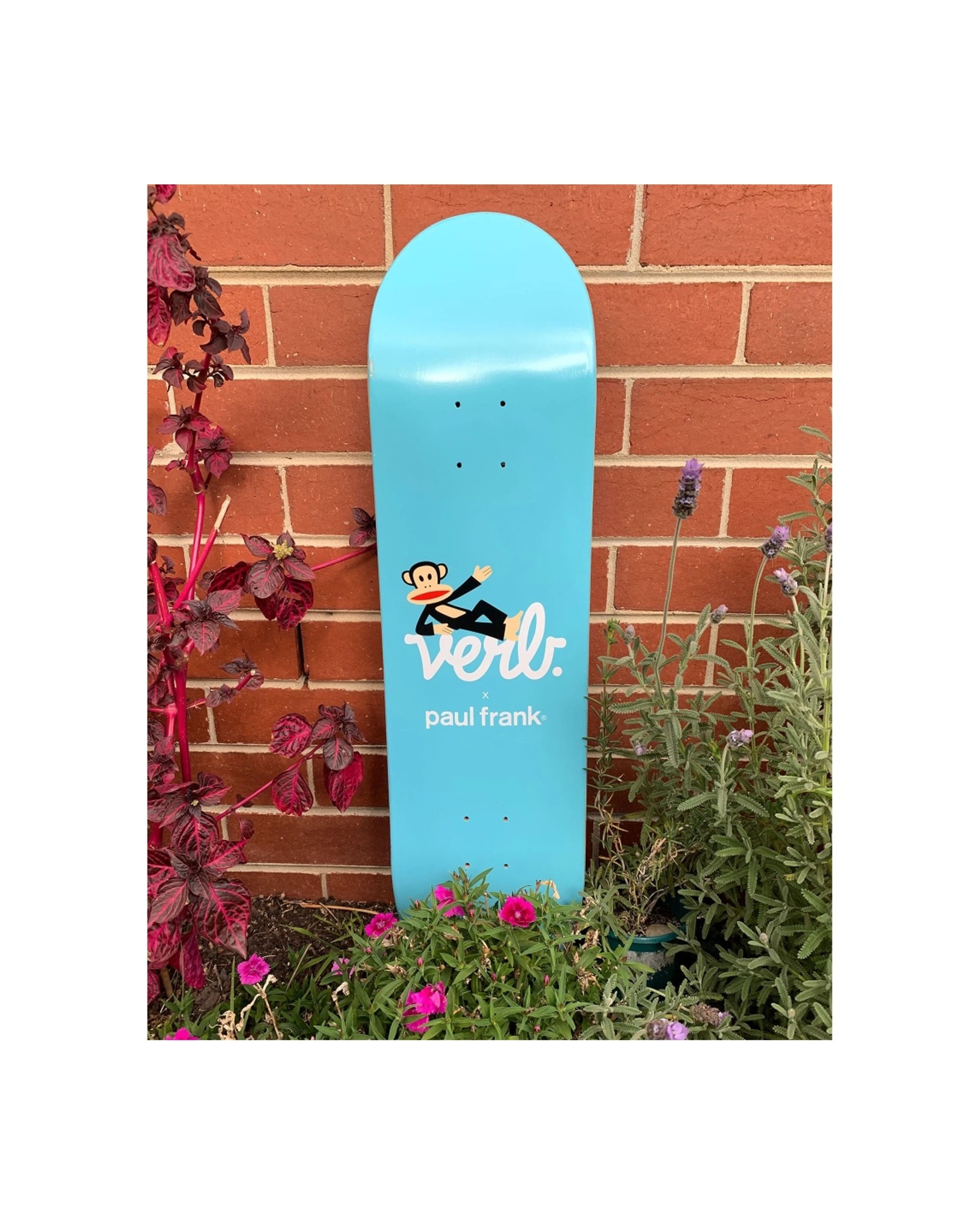 2 Verb X Paul Frank Skateboard 8.25" Deck Premium Maple Core Julius Lounge, 2 of 2