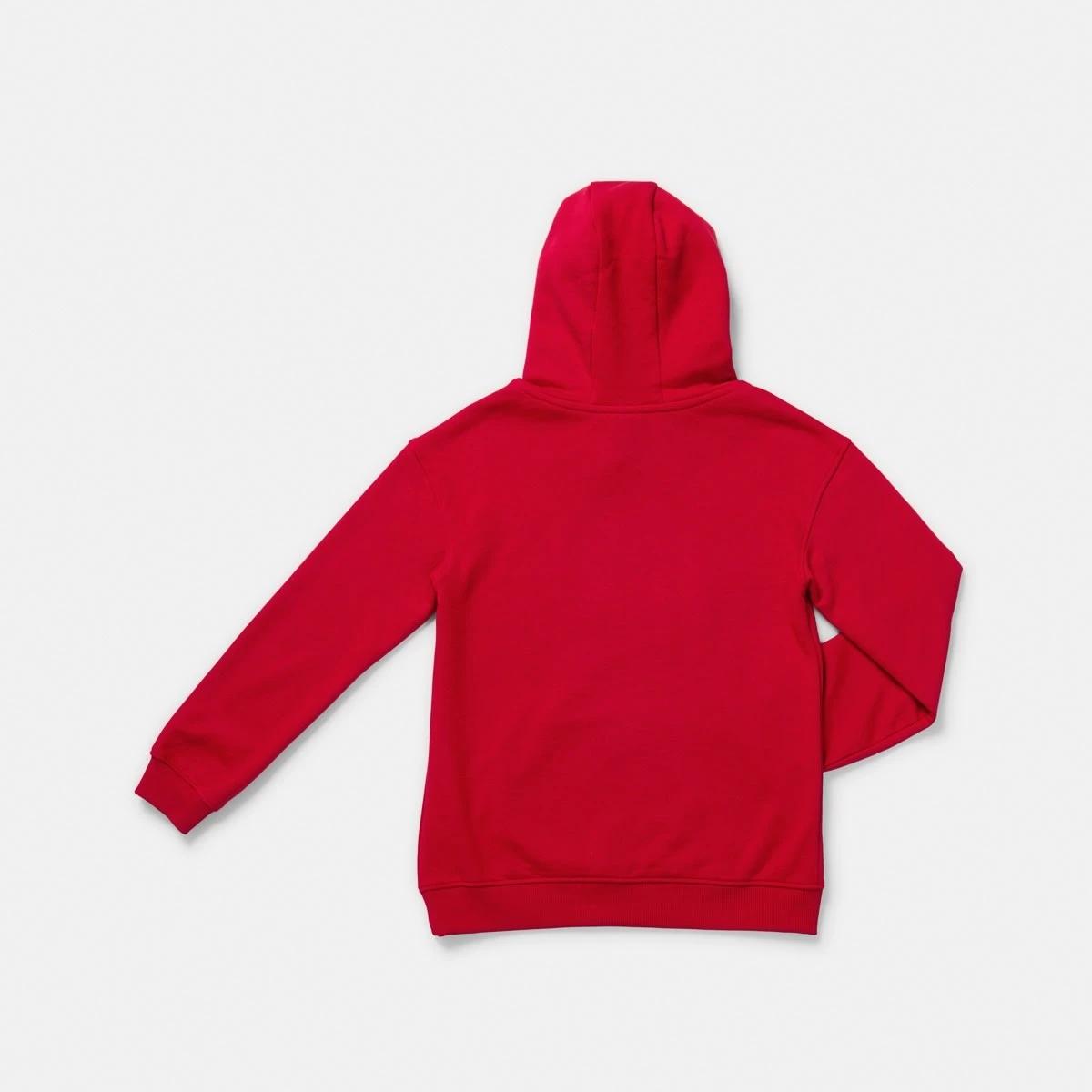 10 Official AFL Kids Hoodie Essendon, 10 of 10