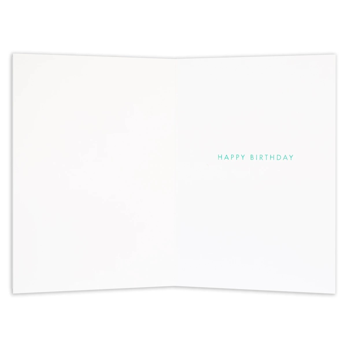 2 Connections from Hallmark 4th Birthday Card - Happy Days, 2 of 3