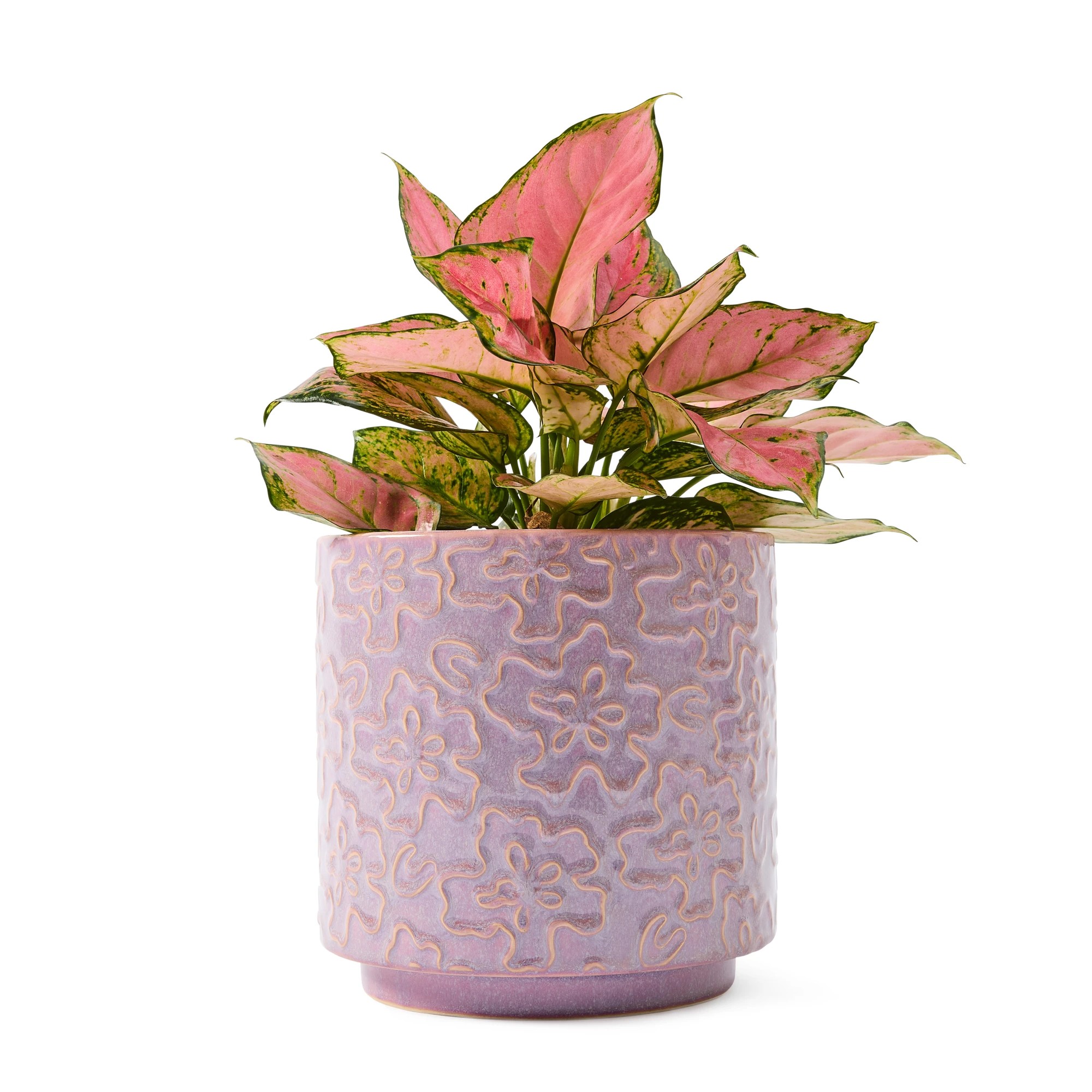 1 Rachael Sarra Blossom Ceramic Pot, 1 of 6
