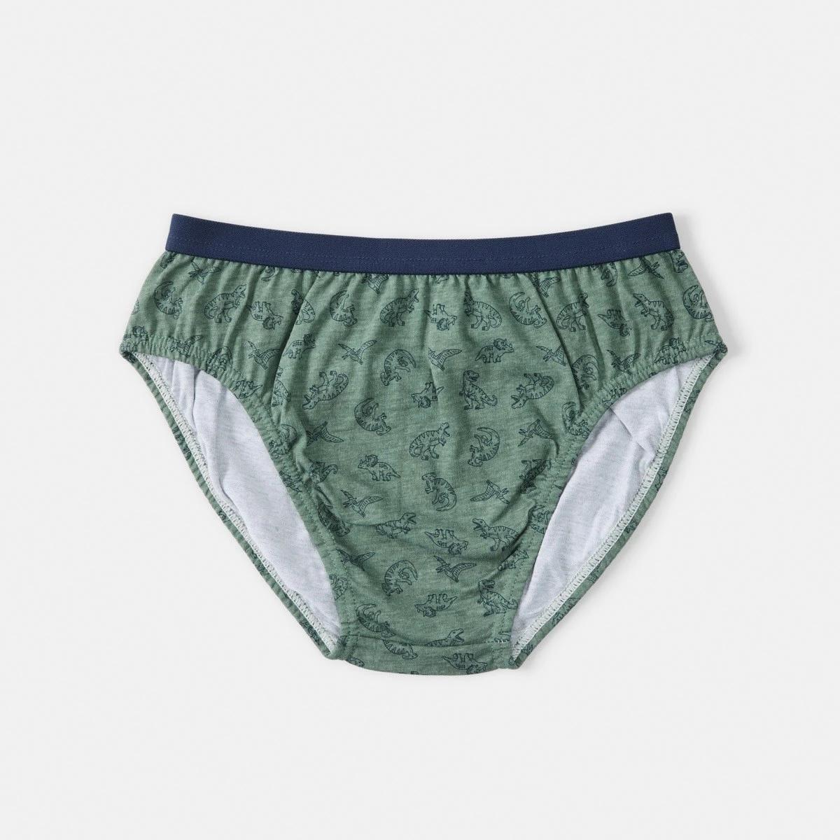 7 7 Pack Print Briefs DINOS, 7 of 9
