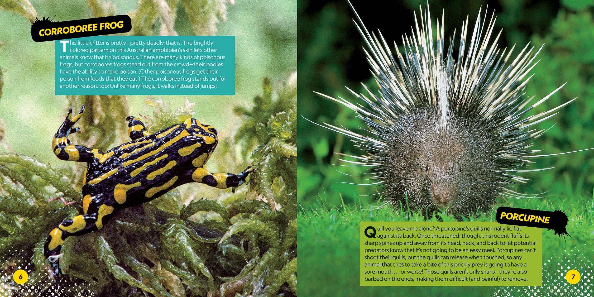 3 Disney: National Geographic Kids: Deadliest Animals on the Planet - Book, 3 of 3