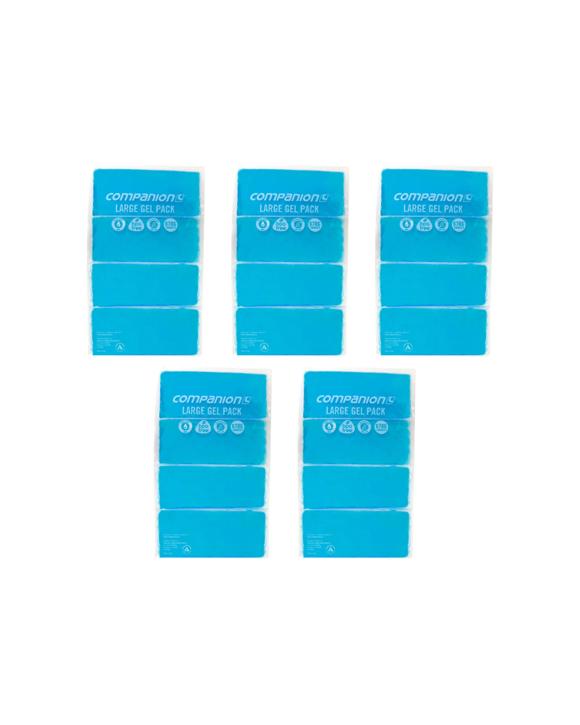 Companion Gel Ice Pack 5 Pack Flexible Reusable Large 670g - Blue