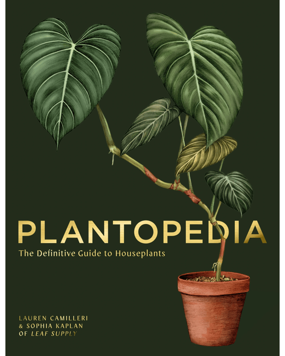 Plantopedia: The Definitive Guide to Houseplants by Lauren Camilleri and Sophia Kaplan - Book