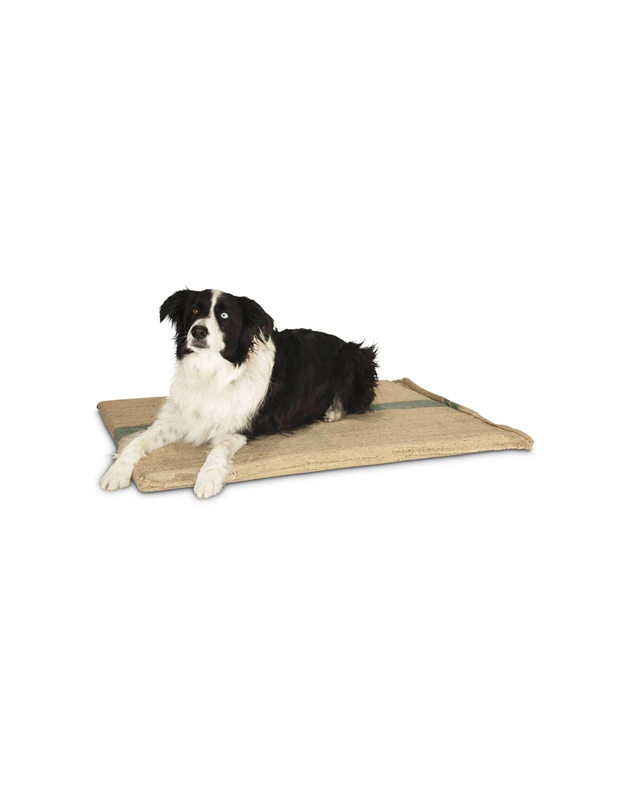 3 Superior Pet Hessian Foam Durable Dog Mat Bed Jumbo, 3 of 4