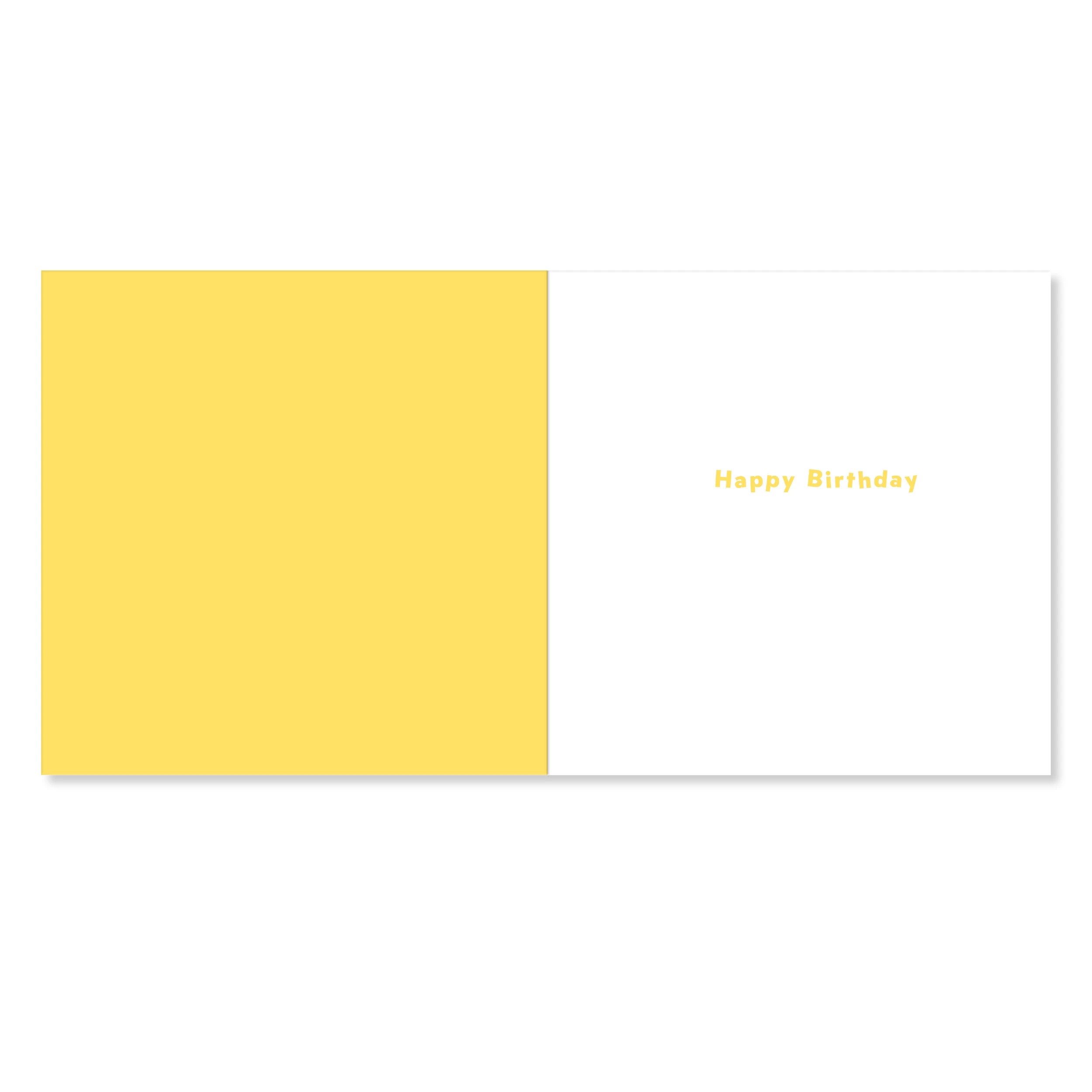 2 Hallmark Birthday Card for Kid - Cake Costume, 2 of 3