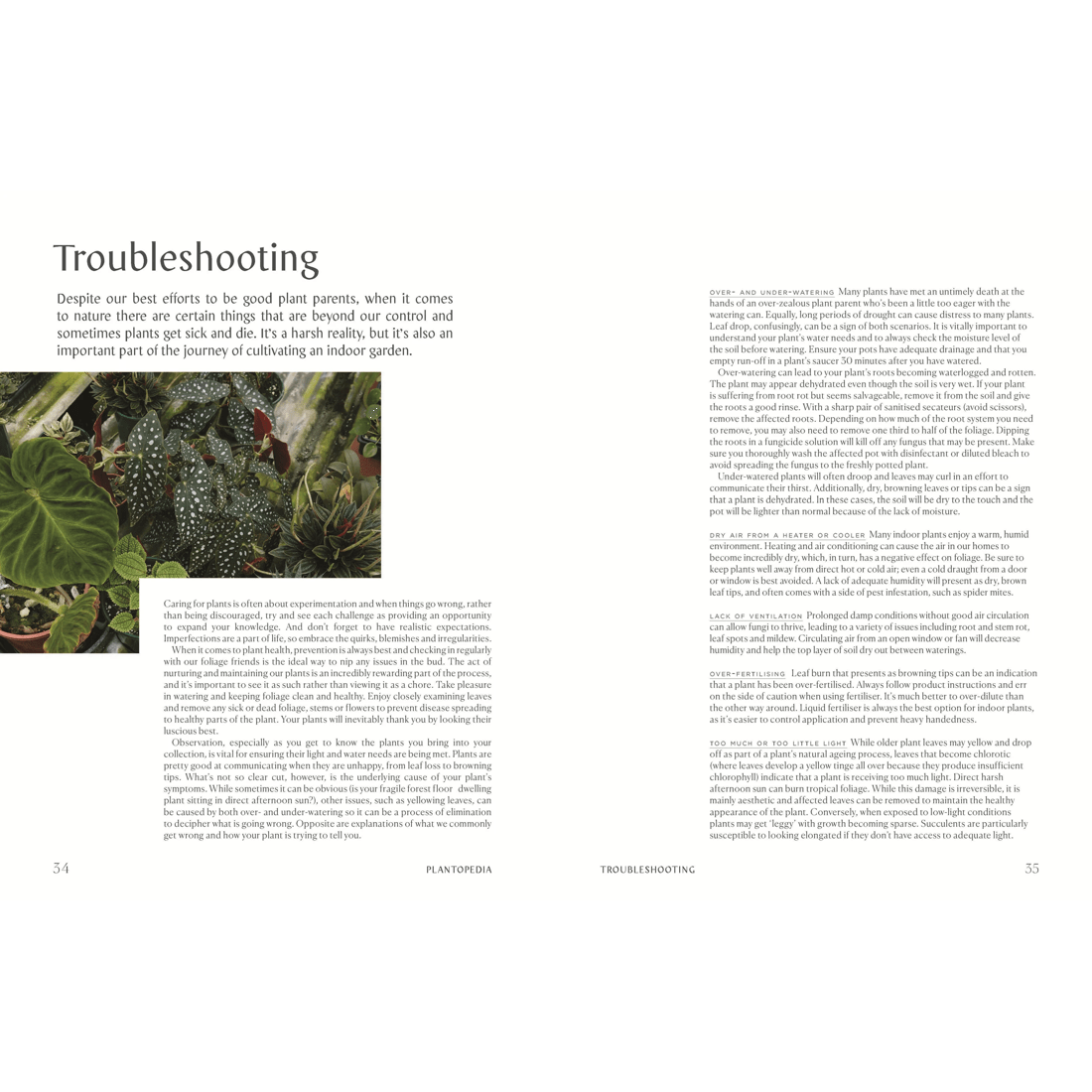 4 Plantopedia: The Definitive Guide to Houseplants by Lauren Camilleri and Sophia Kaplan - Book, 4 of 10