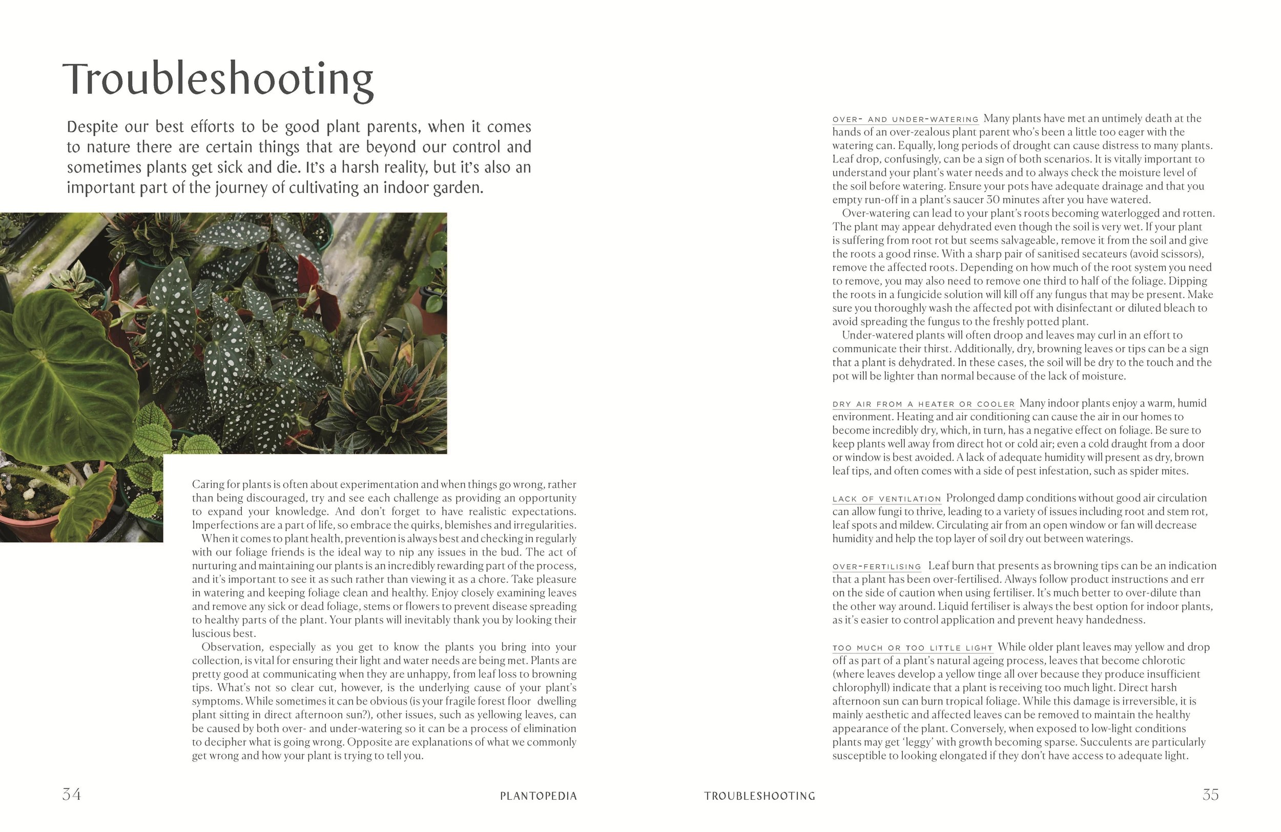 4 Plantopedia: The Definitive Guide to Houseplants by Lauren Camilleri and Sophia Kaplan - Book, 4 of 10