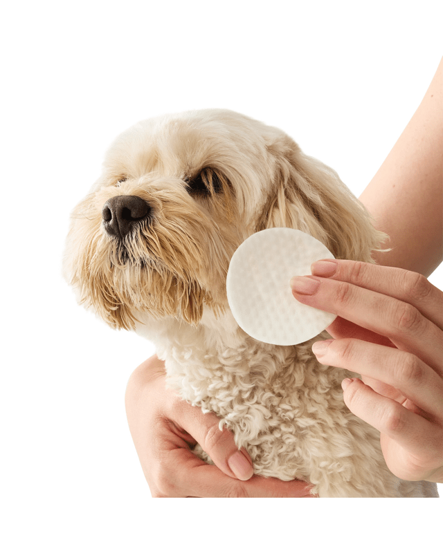 100 Pack Pet Ear & Eye W