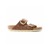 PLAIN COGNAC