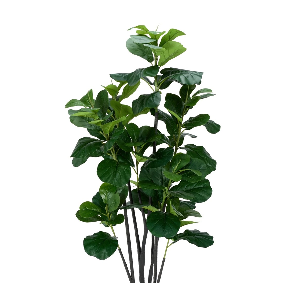 2 Tall Artificial Fiddle Leaf Fig, 2 of 3