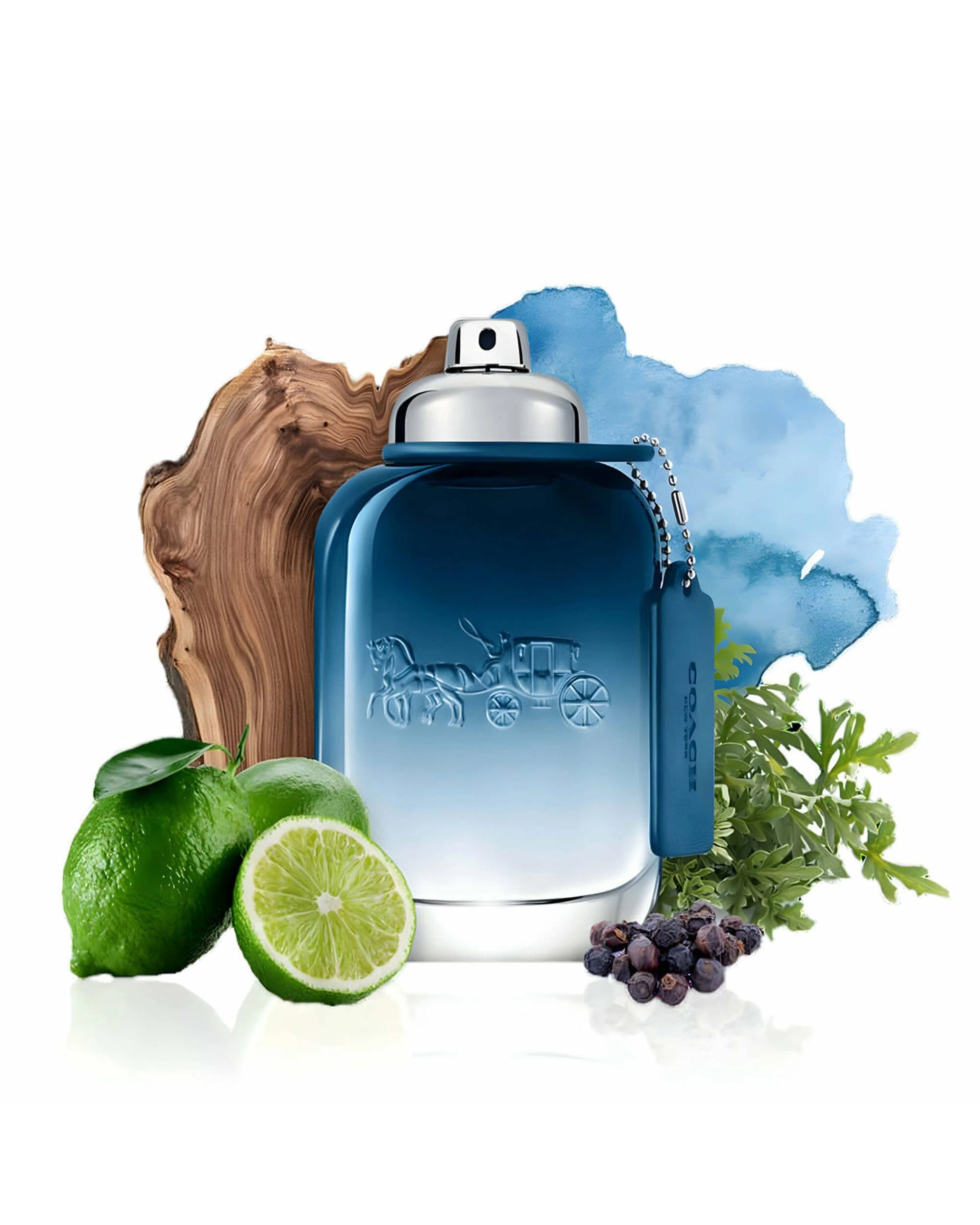 3 Coach Blue Men 100mL Eau De Toilette Fragrance Spray, 3 of 4